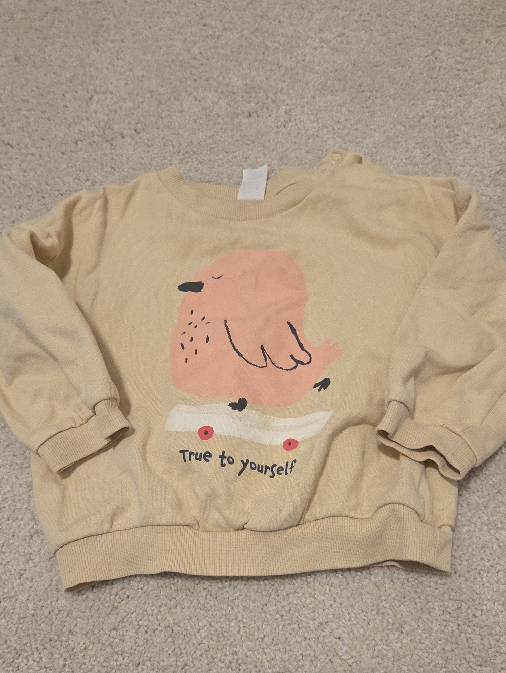 H&M 2T Sweatshirt